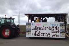 2014 Jubiläumsfaschingszug