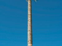 Kirwasamstag