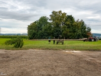 CBI_0432