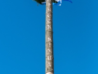 CBI_4960