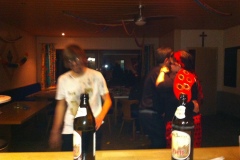 2011 Faschingsparty