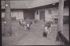 Historische Bilder Köfering