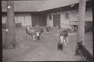 Historische Bilder Köfering